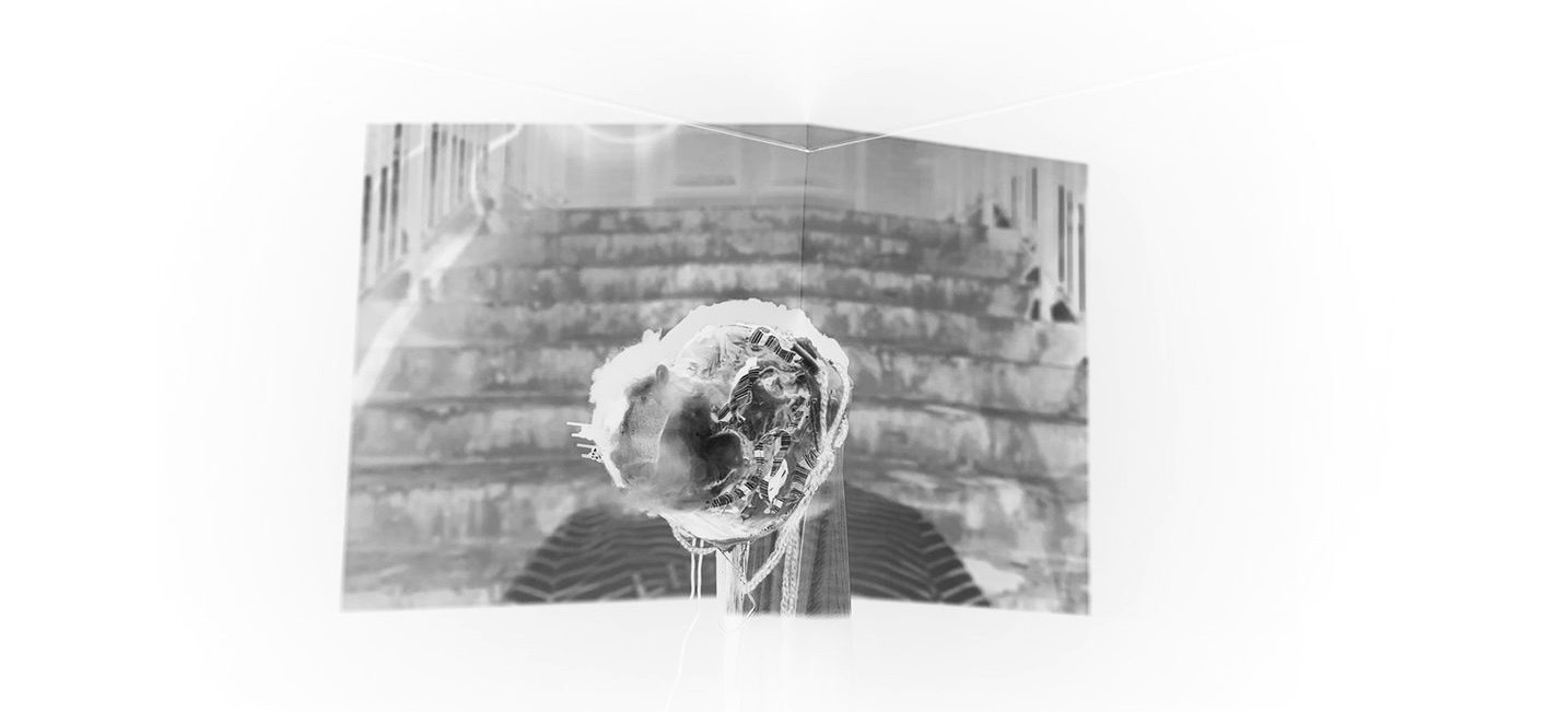 Pig's head sculpture projected onto a stairwell