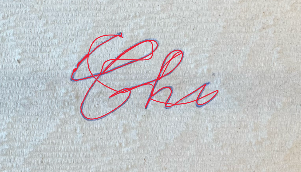 Neural Reconstruction of Handwritten Curves